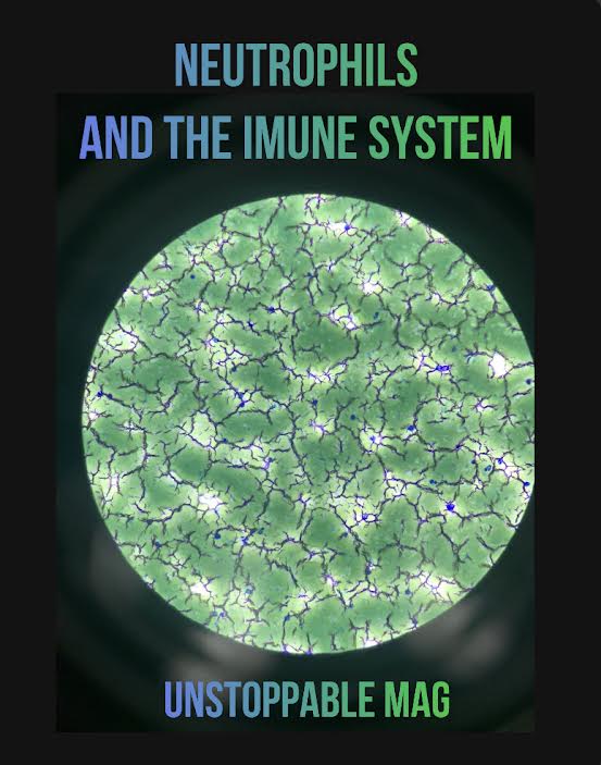 Neutrophils and The Immune System